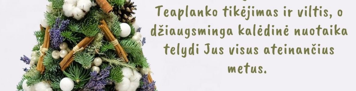 Vilniaus r. Buivydžių Tadeušo Konvickio gimnazija
